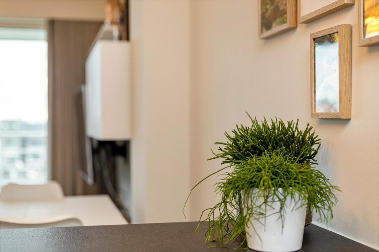 Ruim Appartement Aan De Jachthaven Blankenberge Buitenkant foto
